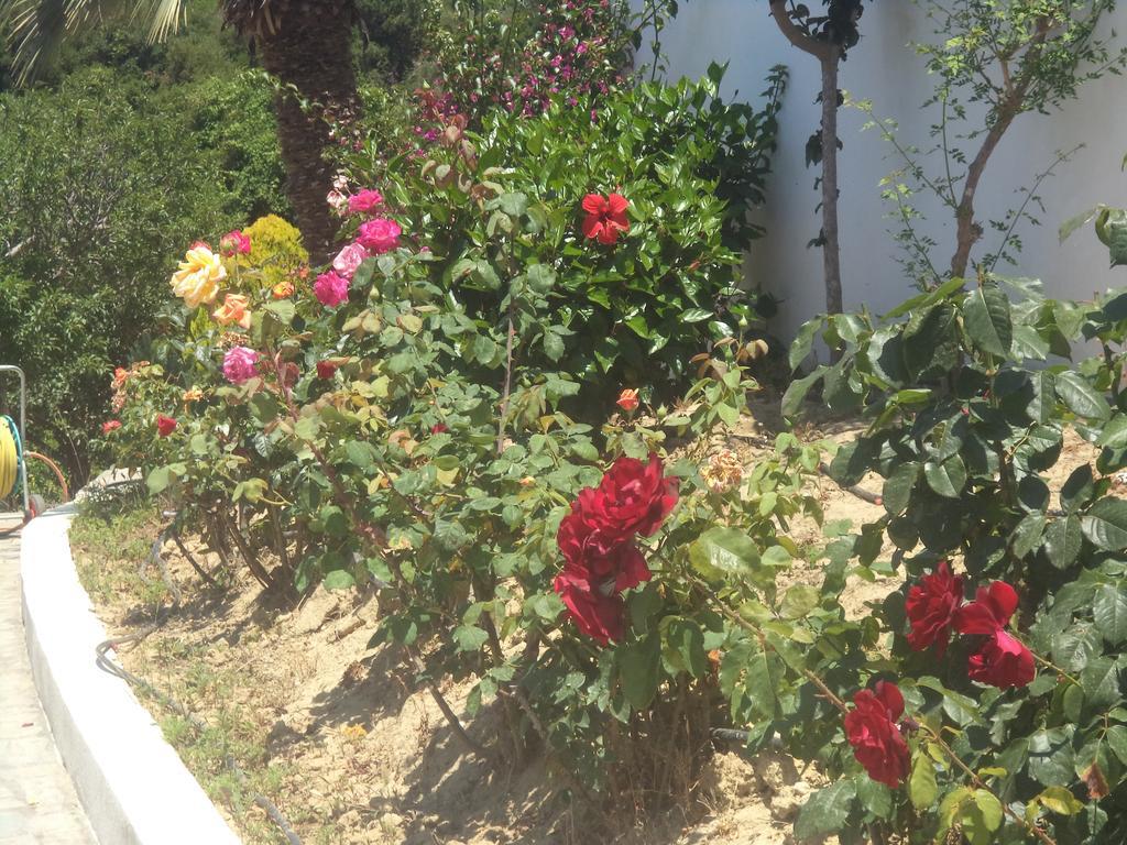 Ilis Villas Kastro-Kyllini ภายนอก รูปภาพ